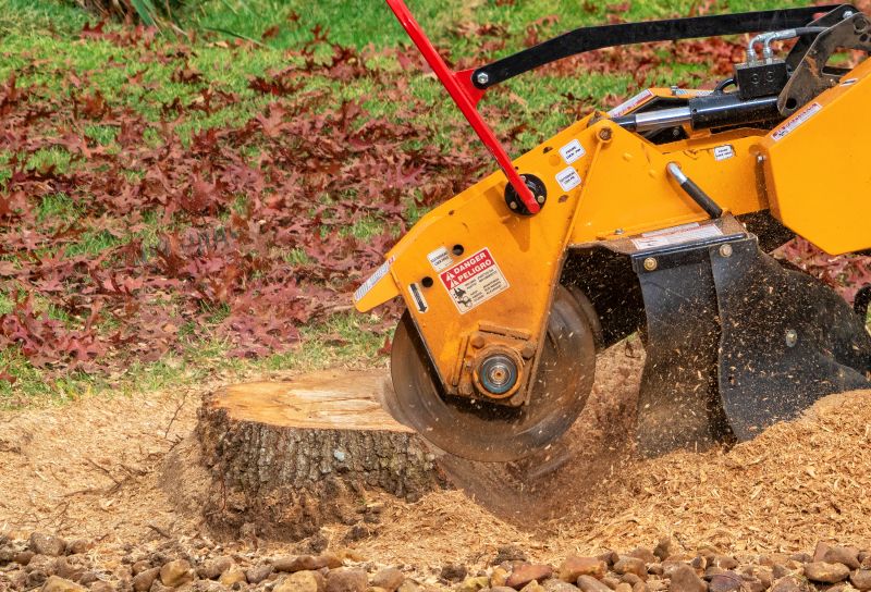 Stump Grinding Operations