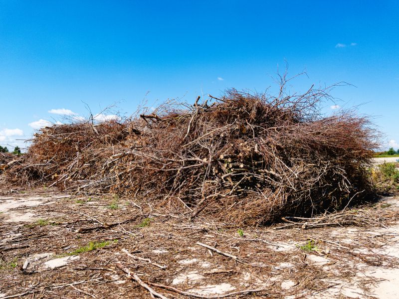 Debris and Brush Clearing