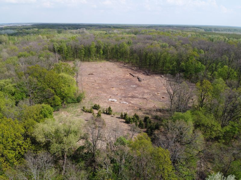 Environmental Land Clearing Specialists
