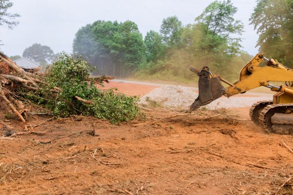 Cost of Forestry Mulching Service in Columbia