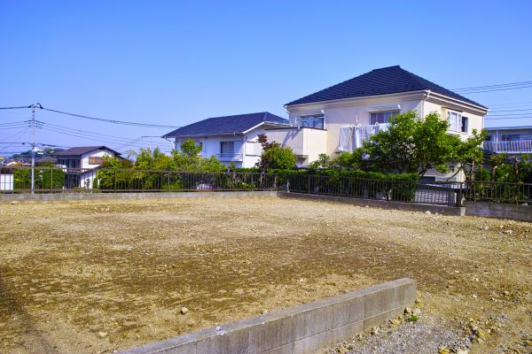 Cost of Lot Clearing Service in Columbia