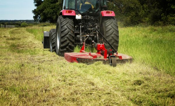 Cost of Brush Clearing Service in Columbia