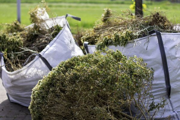 Cost of Bushes Clearing in Columbia