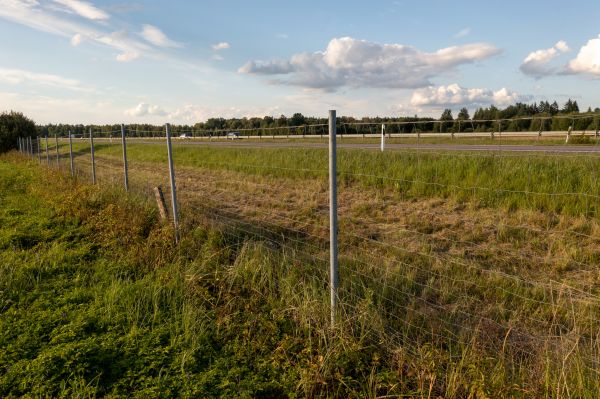 Cost of Property Line Clearing in Columbia